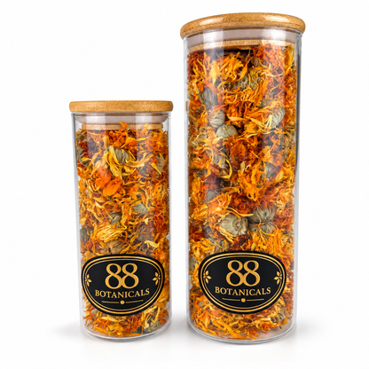 Calendula Marigold