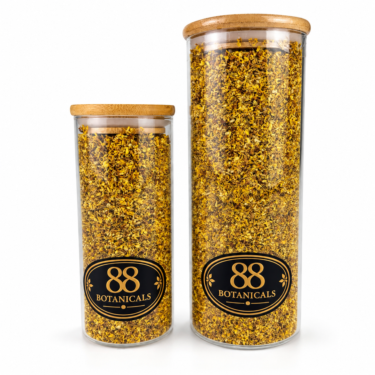 Osmanthus