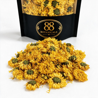 Yellow Chrysanthemum